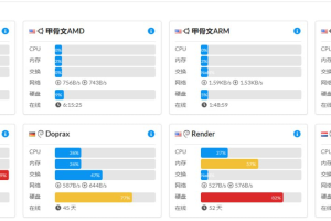 在 VPS 上部署哪吒探针
